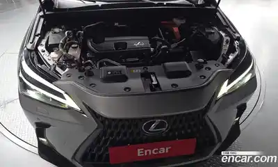 Lexus NX 2023 2.5 автомат (гидро), миниатюра 6