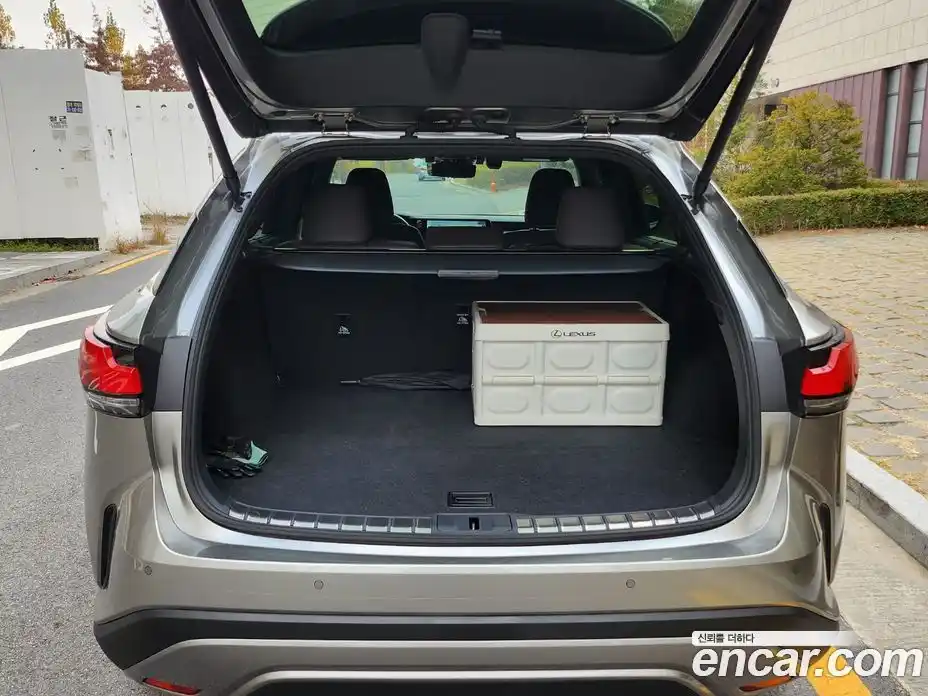Lexus RX 2023 2.5 автомат (гидро), фото 6 Lexus RX 2023 2.5 автомат (гидро), фото 6