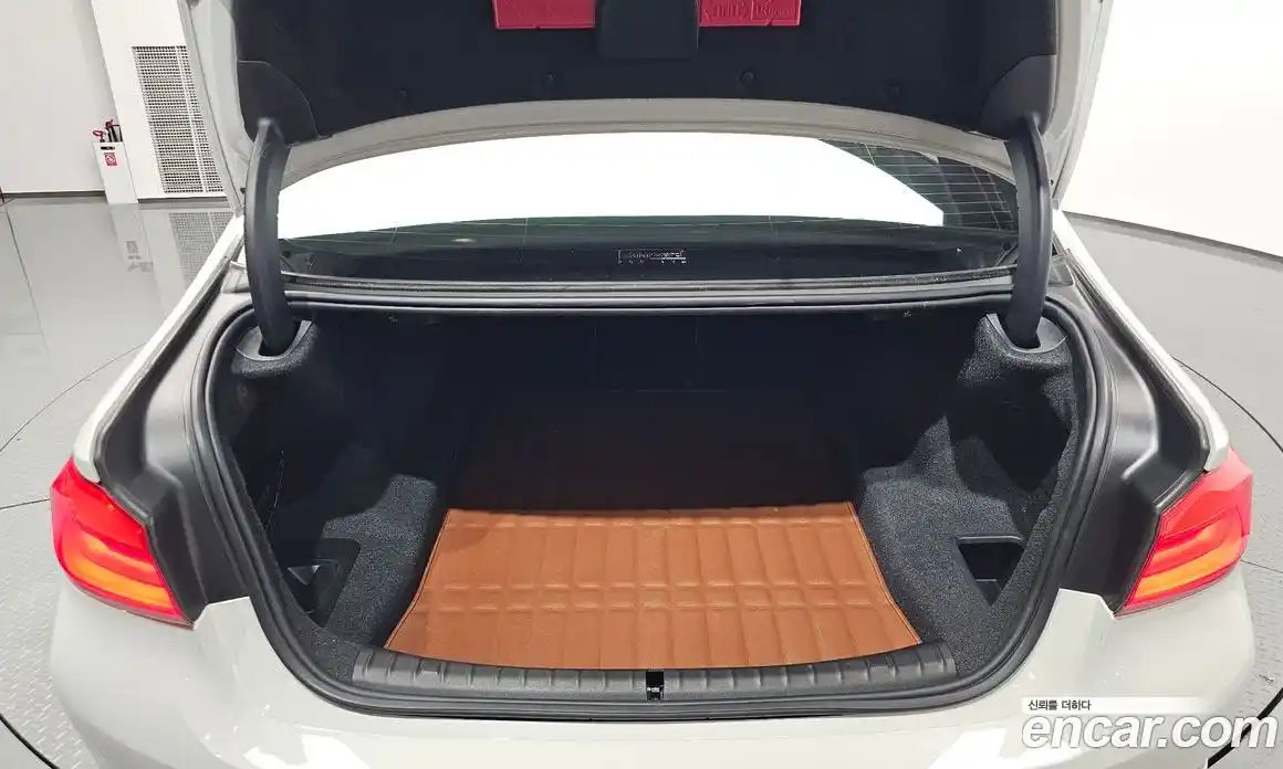 BMW 5 серия 2018 2.0 автомат (гидро), фото 25