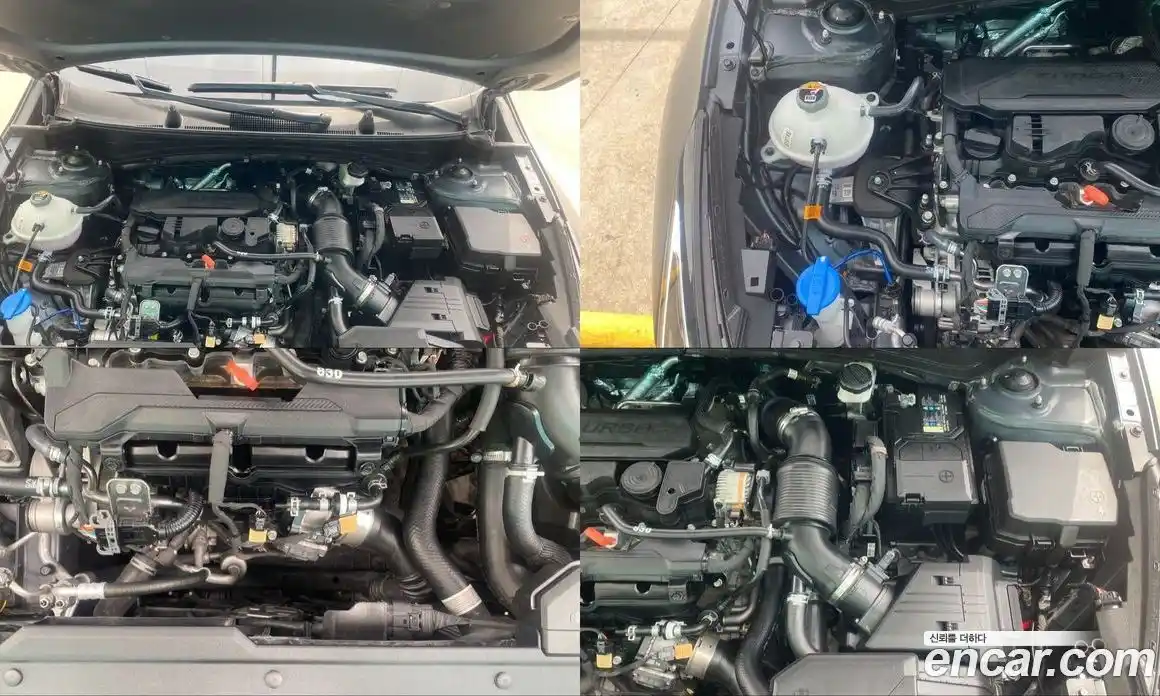 Kia Sportage 2025 1.6 автомат (гидро), фото 6