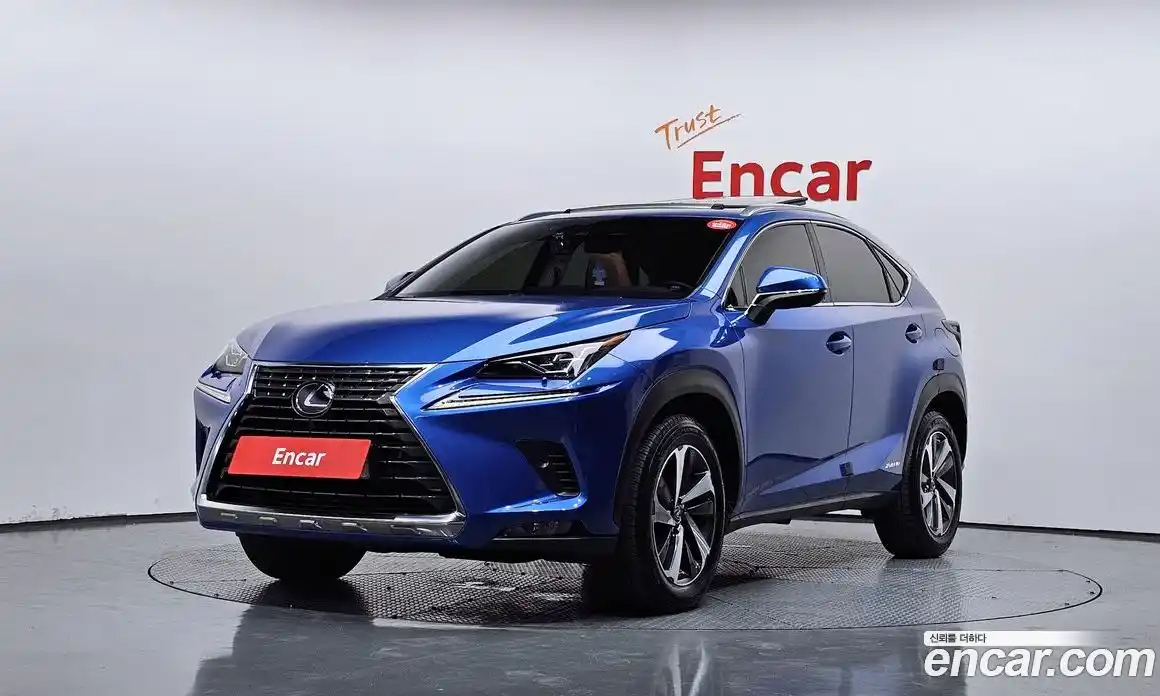 Lexus NX 2019 2.5 автомат (гидро), фото 1 Lexus NX 2019 2.5 автомат (гидро), фото 1