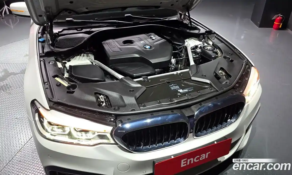 BMW 5 серия 2019 2.0 автомат (гидро), фото 6
