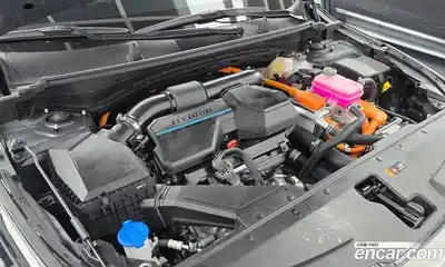 Kia Sportage 2024 1.6 автомат (гидро), миниатюра 6