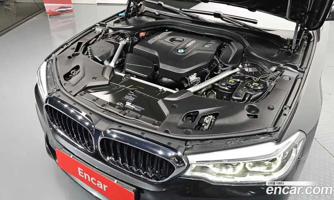 BMW 5 серия 2019 2.0 автомат (гидро), фото 6