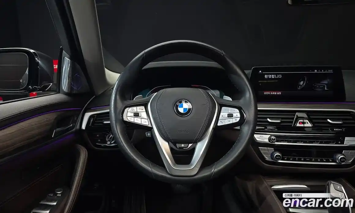 BMW 5 серия 2020 2.0 автомат (гидро), фото 19