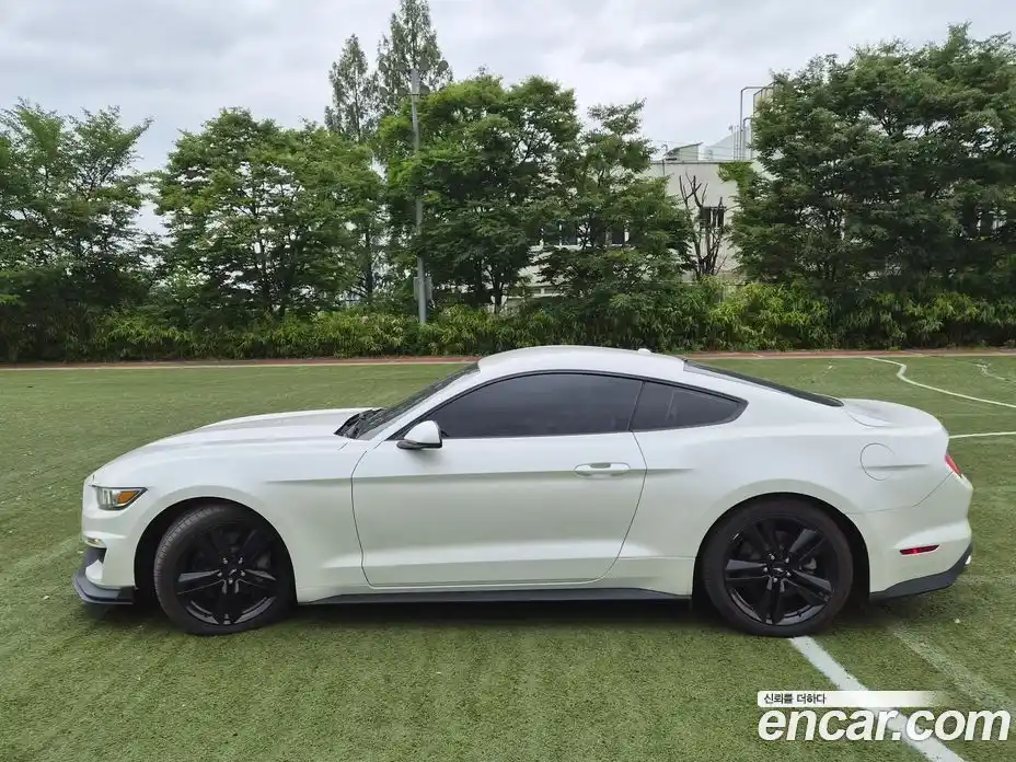 Ford Mustang 2017 2.3 автомат (гидро), фото 5