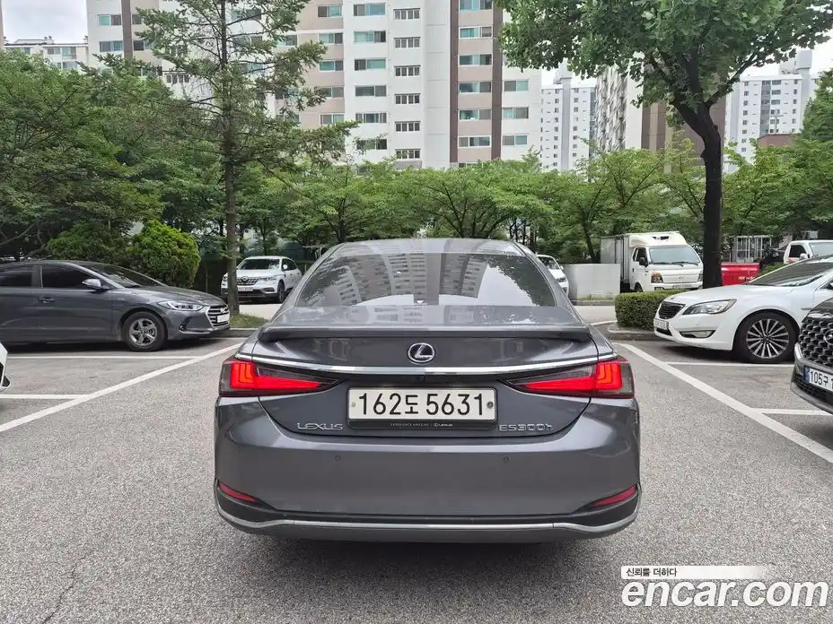 Lexus ES 2020 2.5 автомат (гидро), фото 6 Lexus ES 2020 2.5 автомат (гидро), фото 6