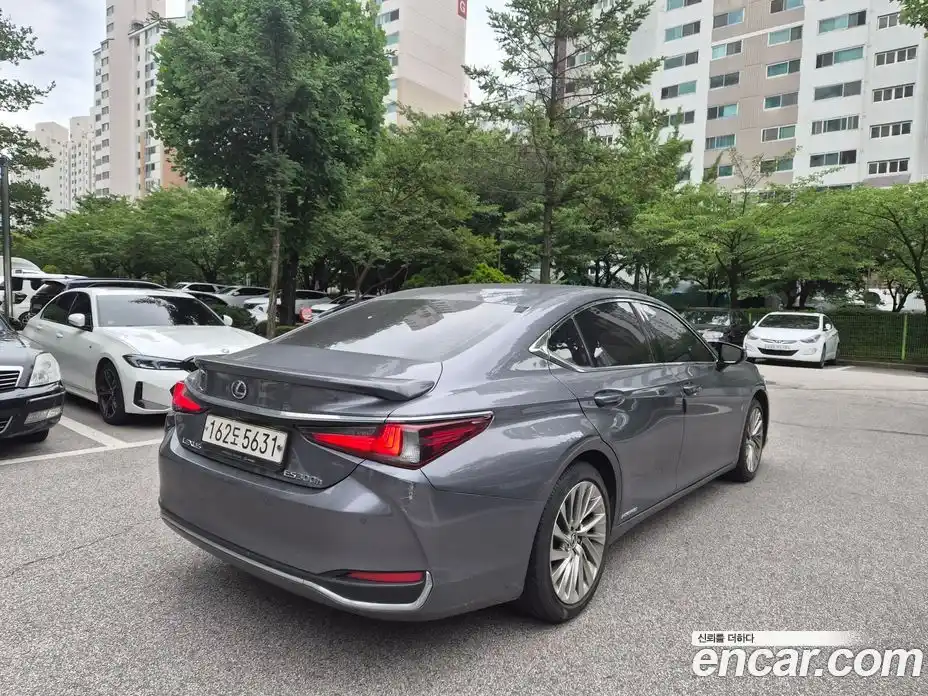 Lexus ES 2020 2.5 автомат (гидро), фото 7 Lexus ES 2020 2.5 автомат (гидро), фото 7