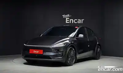 Tesla Model Y, 2025, 13 160 км