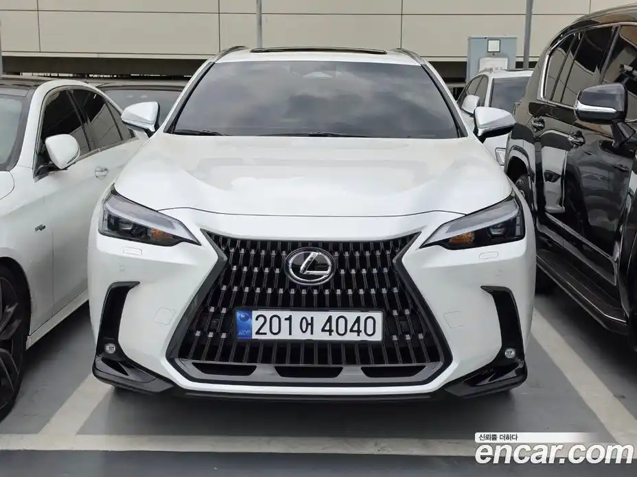 Lexus NX 2025 2.5 автомат (гидро), фото 1 Lexus NX 2025 2.5 автомат (гидро), фото 1