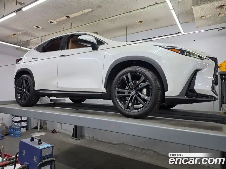 Lexus NX 2025 2.5 автомат (гидро), фото 15 Lexus NX 2025 2.5 автомат (гидро), фото 15