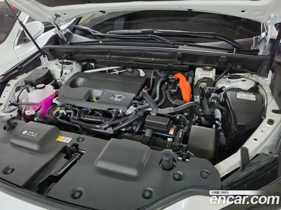 Lexus NX 2025 2.5 автомат (гидро), фото 20 Lexus NX 2025 2.5 автомат (гидро), фото 20