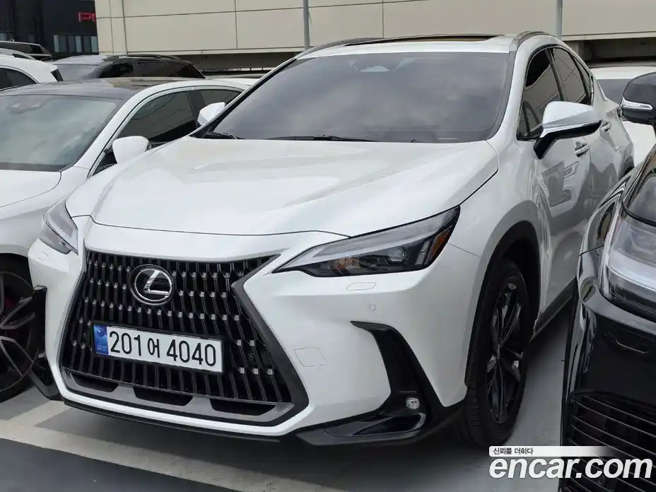 Lexus NX 2025 2.5 автомат (гидро), фото 2 Lexus NX 2025 2.5 автомат (гидро), фото 2