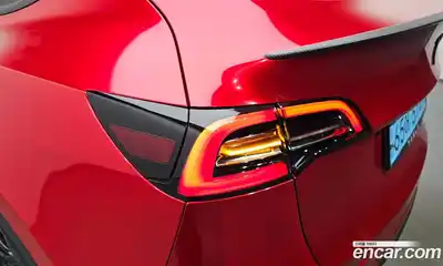 Tesla Model Y 2021 0.2 автомат (гидро), миниатюра 8