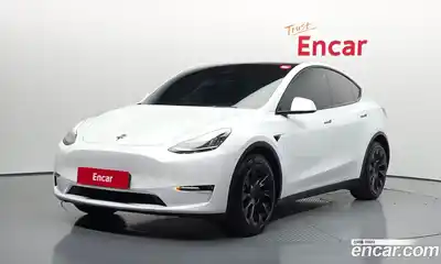 Tesla Model Y, 2021, 60 198 км