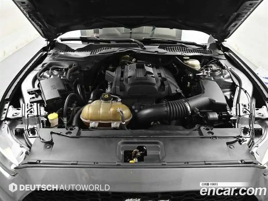 Ford Mustang 2016 2.3 автомат (гидро), фото 5