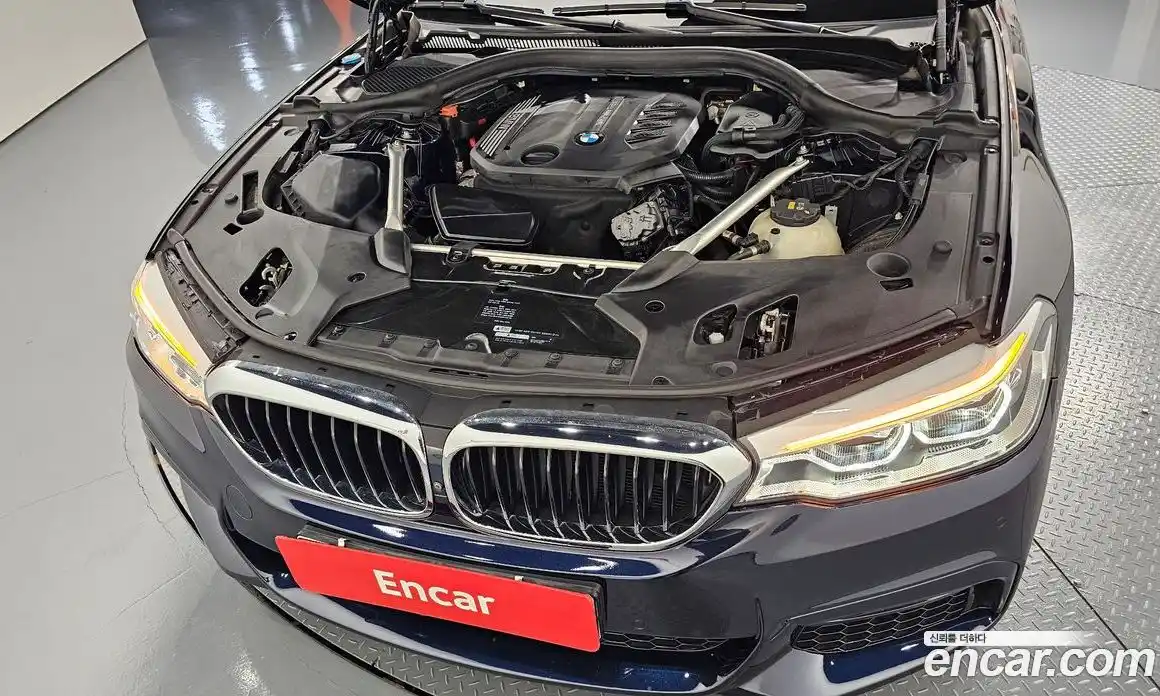 BMW 5 серия 2019 2.0 автомат (гидро), фото 6