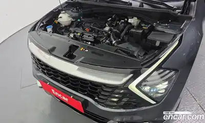 Kia Sportage 2023 1.6 автомат (гидро), миниатюра 6