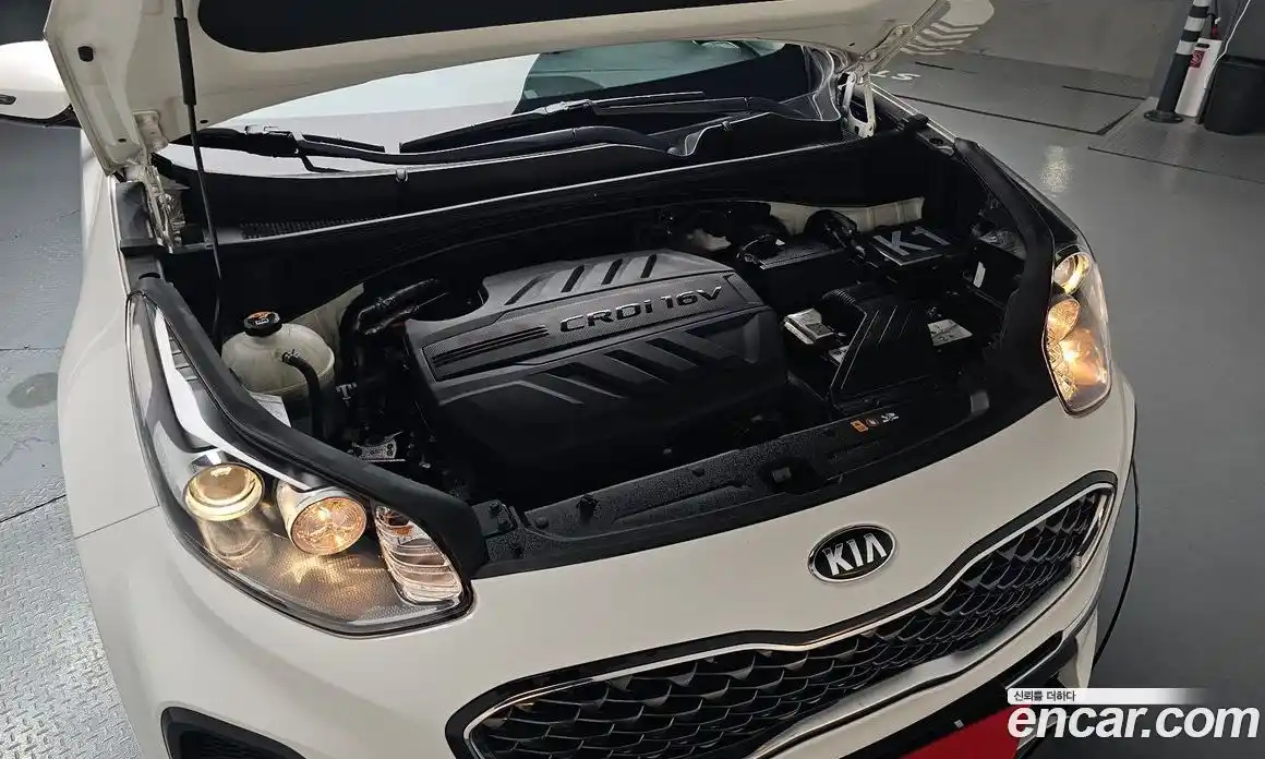 Kia Sportage 2019 2.0 автомат (гидро), фото 5