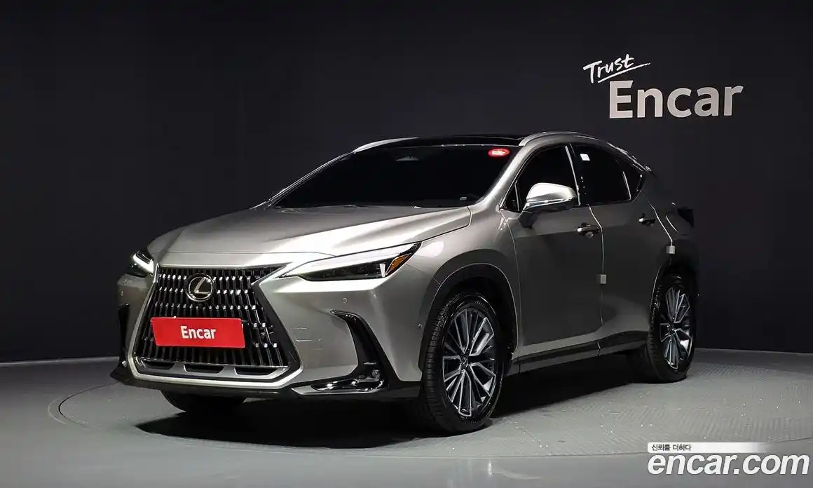 Lexus NX 2025 2.5 автомат (гидро), фото 1 Lexus NX 2025 2.5 автомат (гидро), фото 1