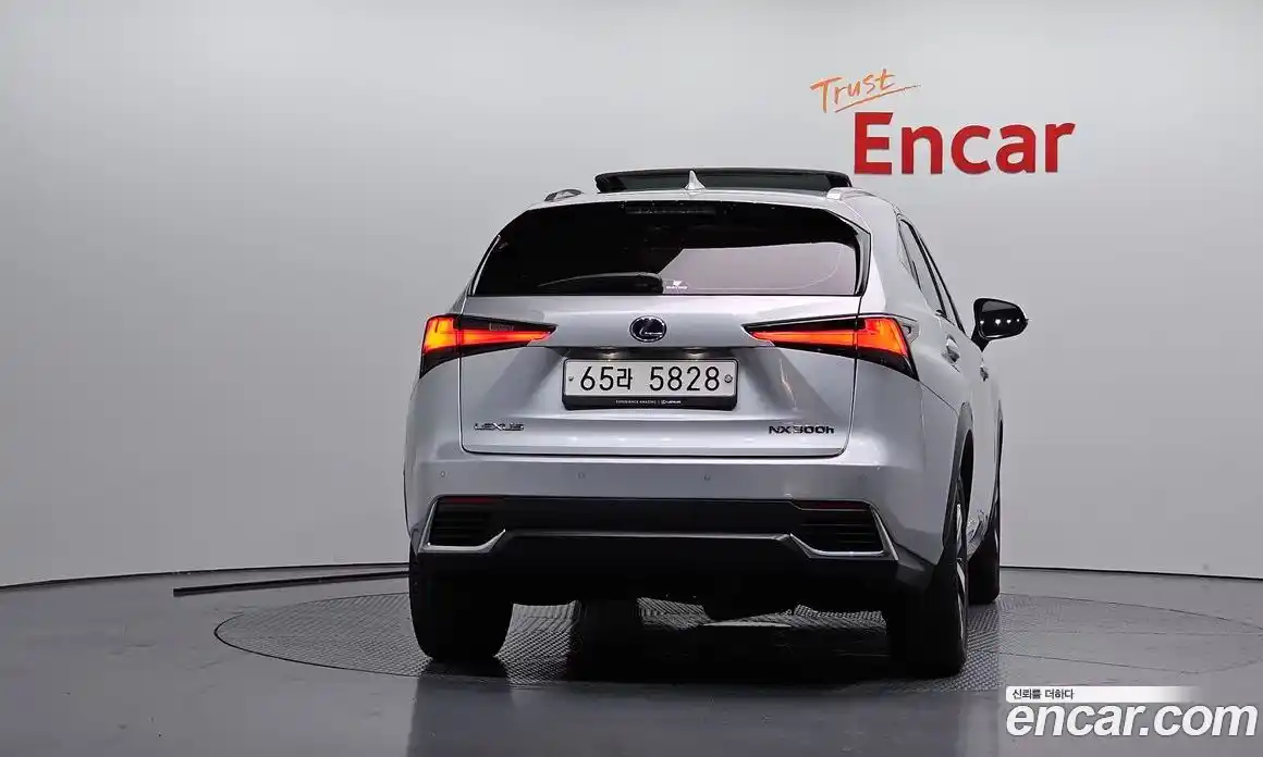 Lexus NX 2018 2.5 автомат (гидро), фото 4 Lexus NX 2018 2.5 автомат (гидро), фото 4