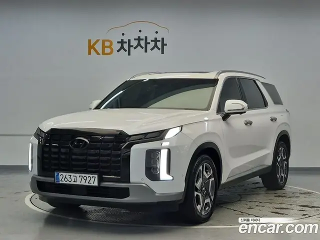 Hyundai Palisade, 2023, 43 000 км
