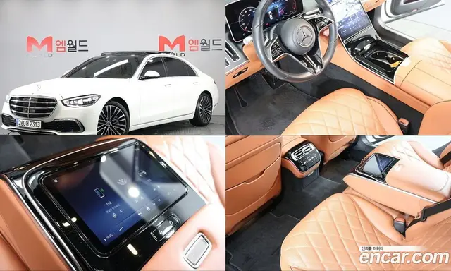 Mercedes-Benz S-Class, 2023, 24 313 км