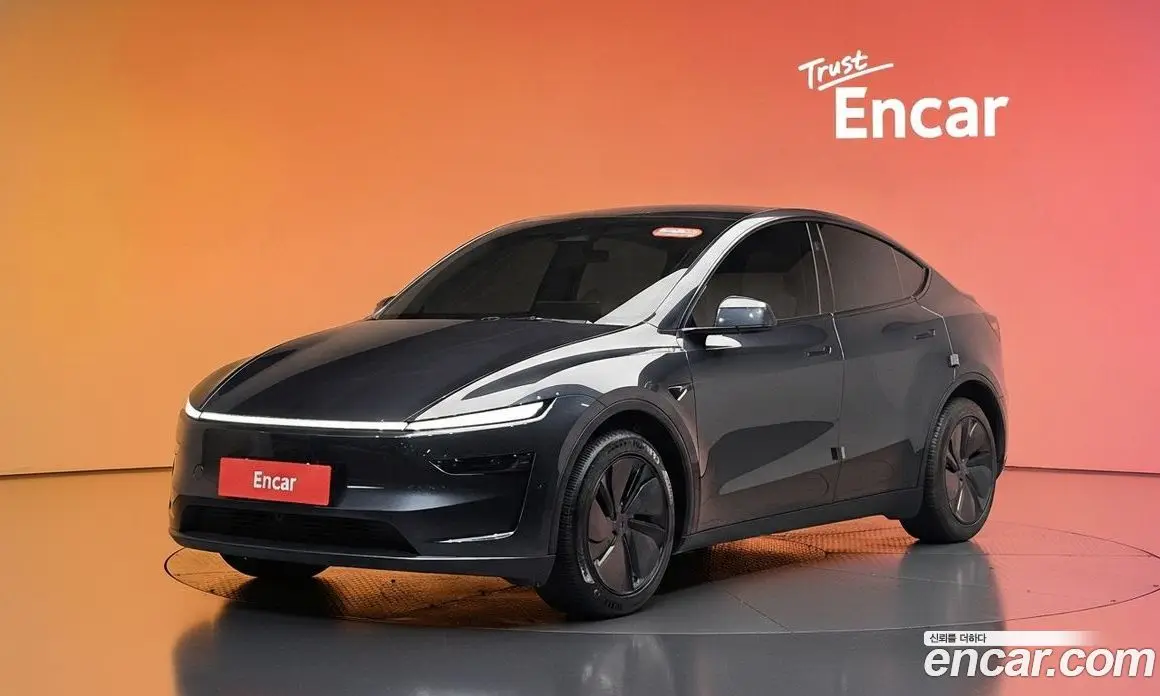 Tesla Model Y 2025 0.2 автомат (гидро), фото 36 Tesla Model Y 2025 0.2 автомат (гидро), фото 36