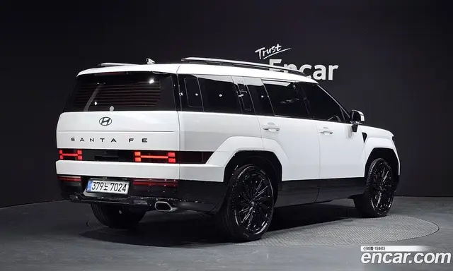 Hyundai Santa Fe, 2025, 4 422 км