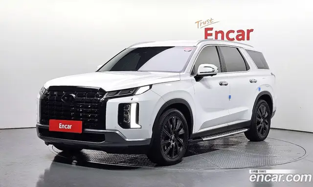 Hyundai Palisade, 2024, 20 370 км