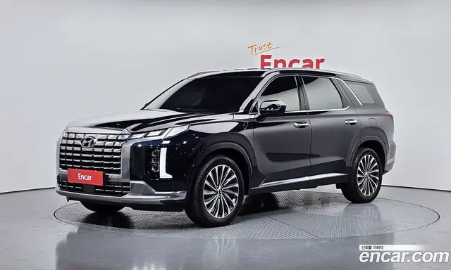 Hyundai Palisade, 2024, 20 024 км