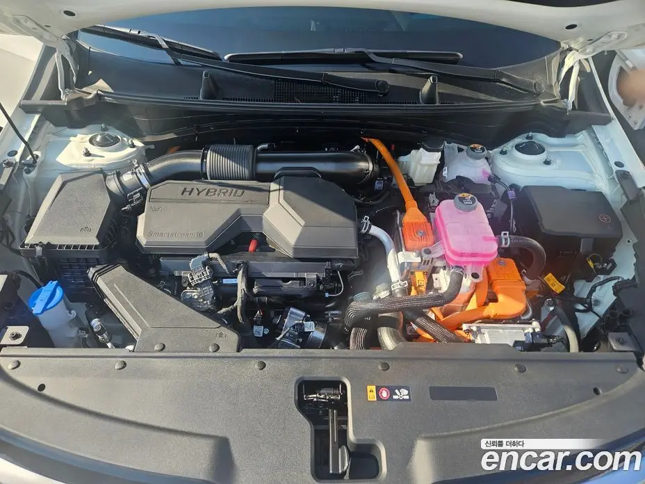 Kia Sportage 2026 1.6 автомат (гидро), фото 6