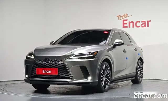 Lexus RX, 2024, 51 435 км