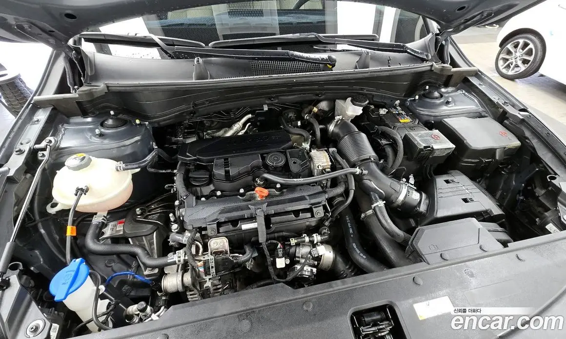 Kia Sportage 2023 1.6 автомат (гидро), фото 6