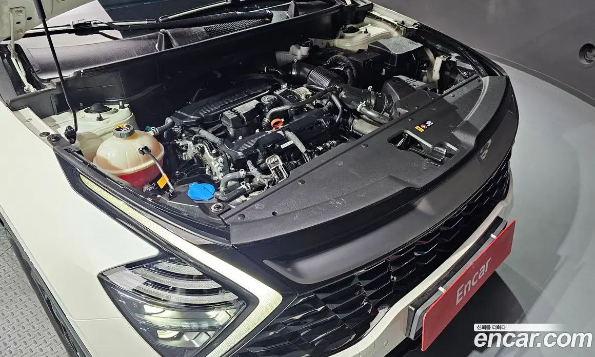 Kia Sportage 2023 1.6 автомат (гидро), фото 6