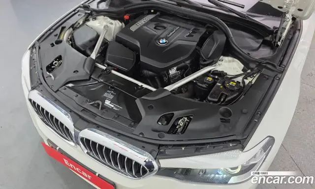 BMW 5 серия 2019 2.0 автомат (гидро), миниатюра 6