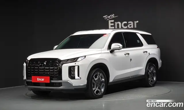 Hyundai Palisade, 2023, 21 841 км