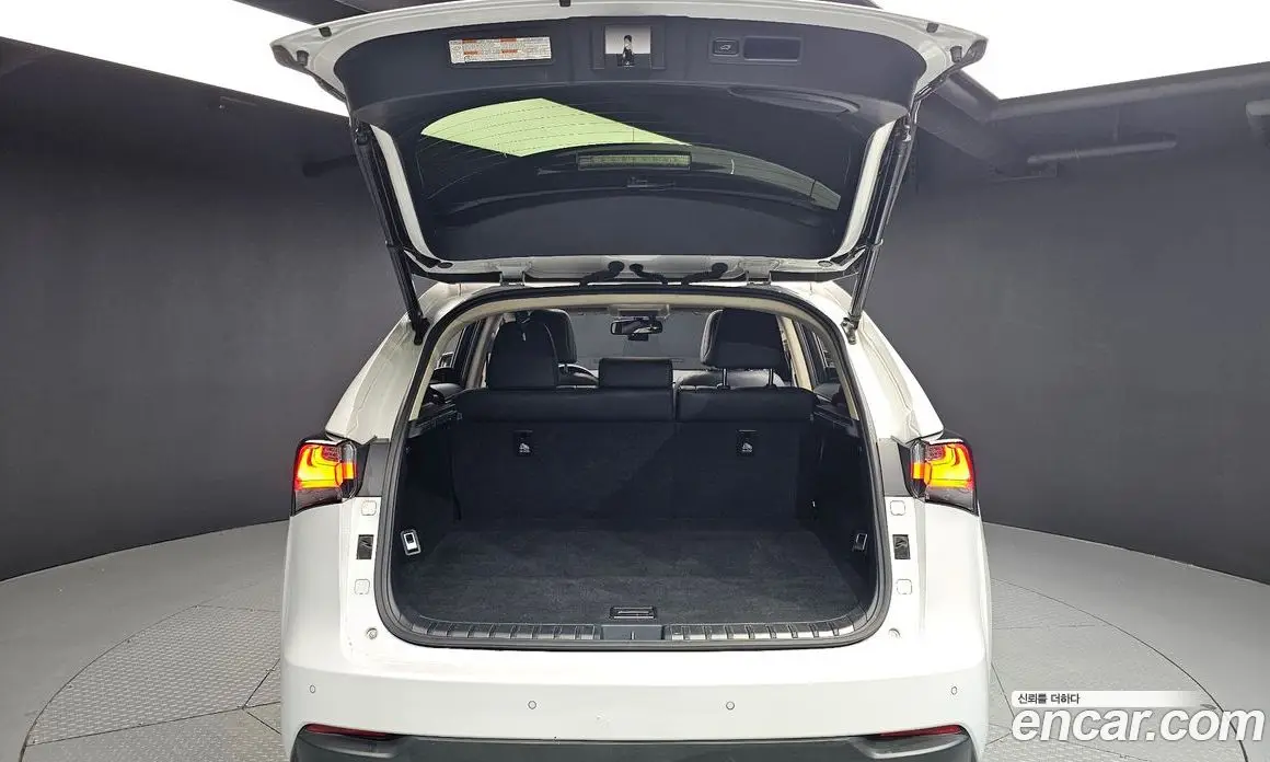 Lexus NX 2016 2.5 автомат (гидро), фото 20 Lexus NX 2016 2.5 автомат (гидро), фото 20