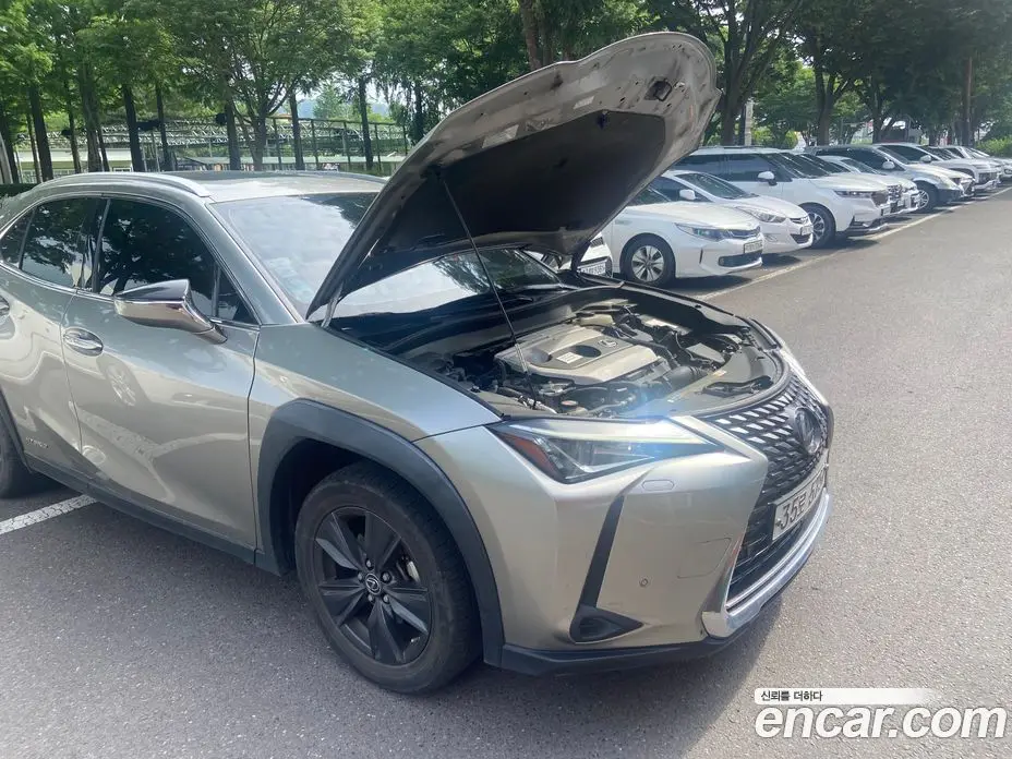 Lexus UX 2019 2.0 автомат (вариатор), фото 5 Lexus UX 2019 2.0 автомат (вариатор), фото 5