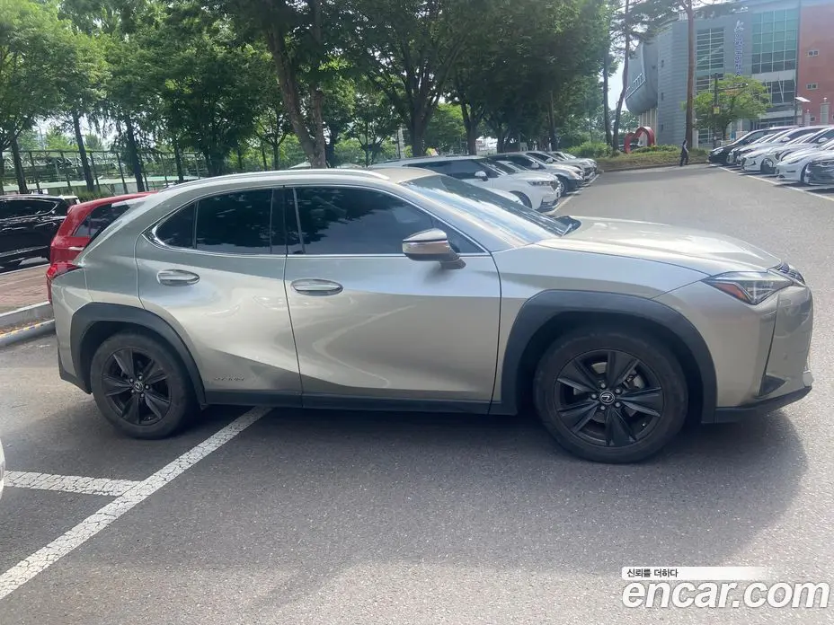 Lexus UX 2019 2.0 автомат (вариатор), фото 10 Lexus UX 2019 2.0 автомат (вариатор), фото 10