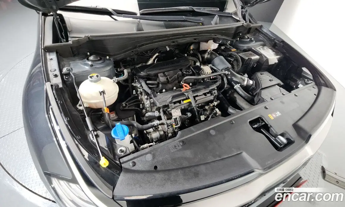 Kia Sportage 2023 1.6 автомат (гидро), фото 6