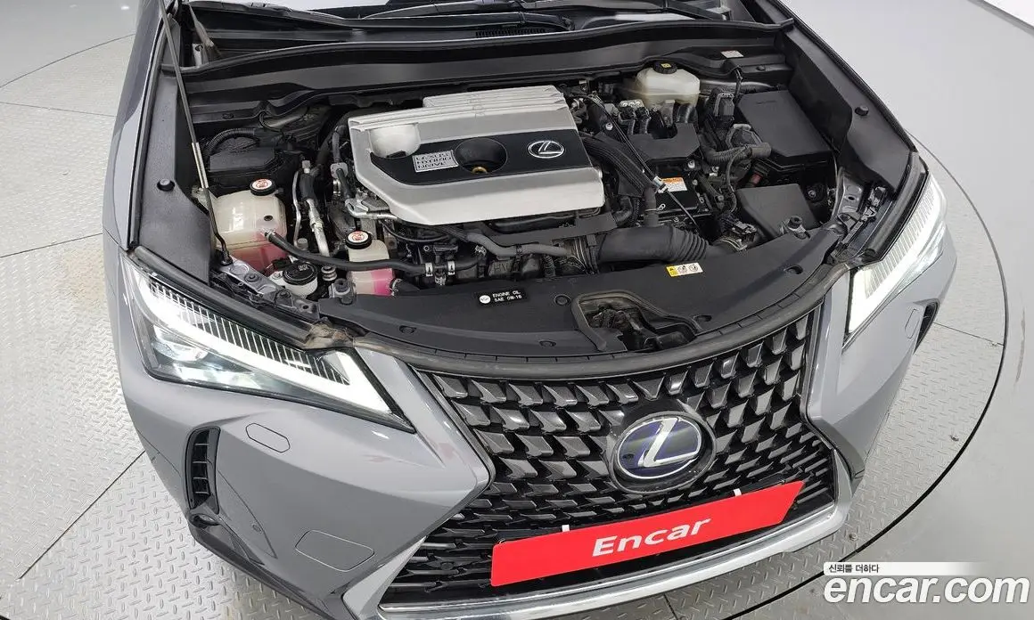 Lexus UX 2019 2.0 автомат (гидро), фото 5 Lexus UX 2019 2.0 автомат (гидро), фото 5