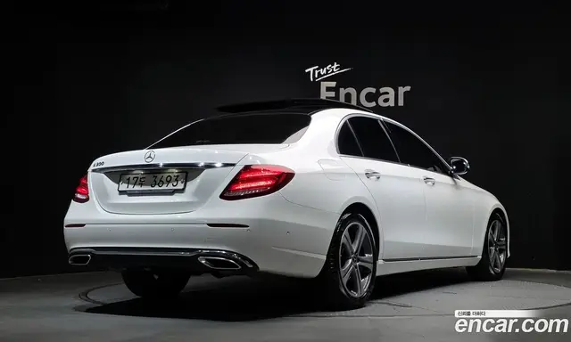 Mercedes-Benz E-Class 2019 2.0 гидро, миниатюра 2 Mercedes-Benz E-Class 2019 2.0 гидро, миниатюра 2