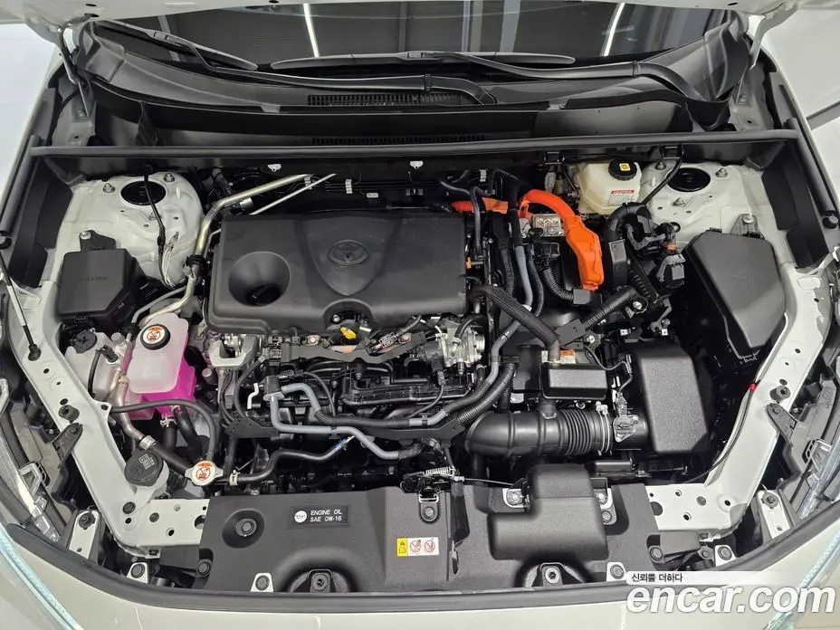 Toyota RAV4 2025 2.5 автомат (вариатор), фото 6 Toyota RAV4 2025 2.5 автомат (вариатор), фото 6