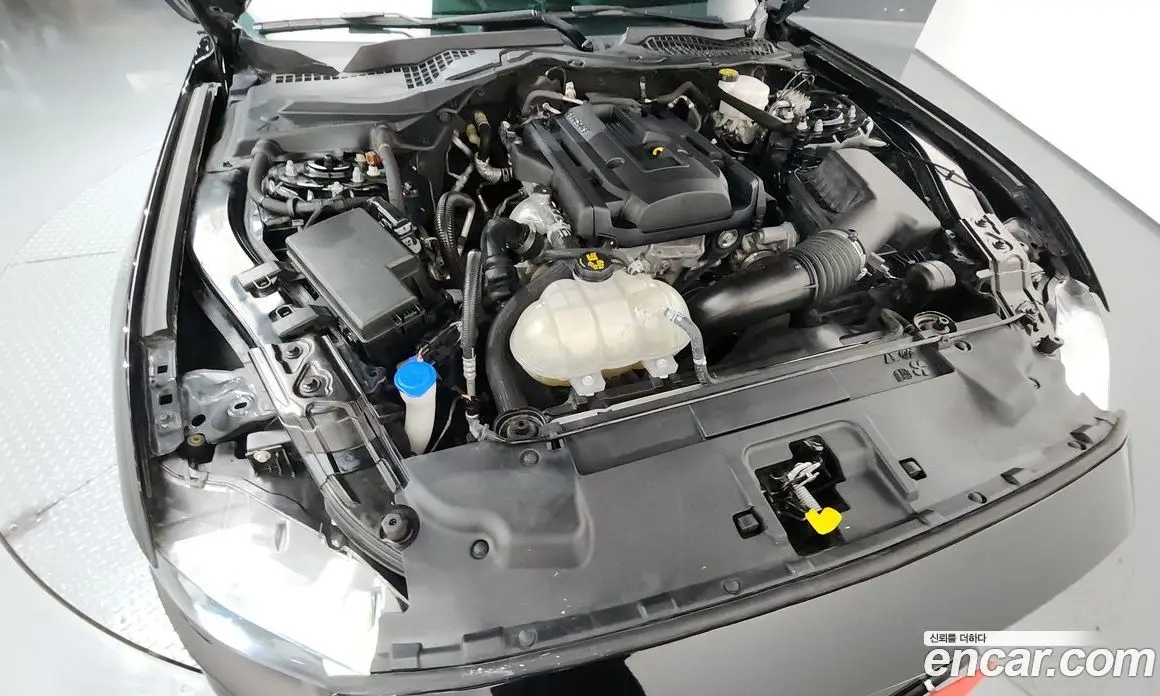 Ford Mustang 2021 2.3 автомат (гидро), фото 6
