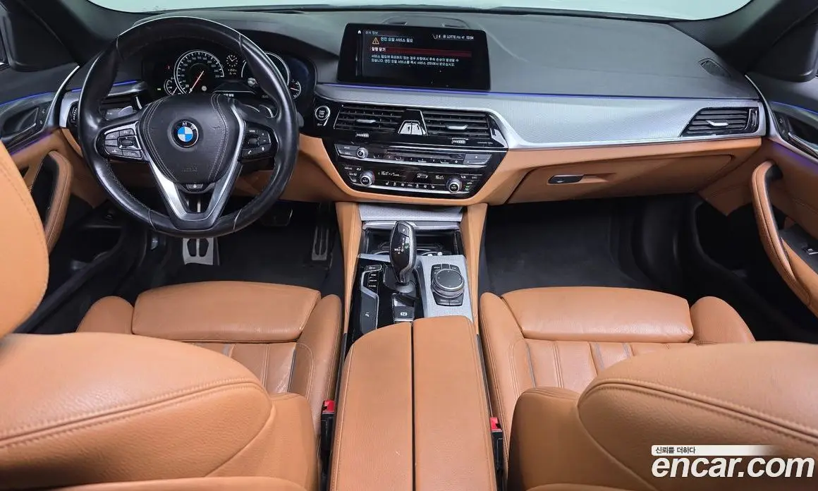 BMW 5 серия 2017 2.0 автомат (гидро), фото 10