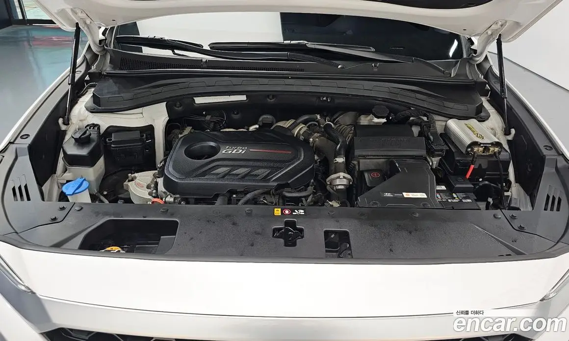 Hyundai Santa Fe 2019 2.0 автомат (гидро), фото 6