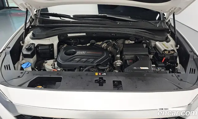 Hyundai Santa Fe 2019 2.0 автомат (гидро), миниатюра 6