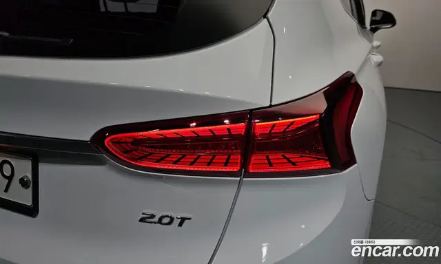 Hyundai Santa Fe 2019 2.0 автомат (гидро), миниатюра 9