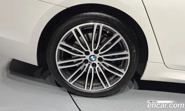 BMW 5 серия 2019 2.0 автомат (гидро), миниатюра 5